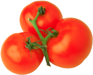 tomatoes